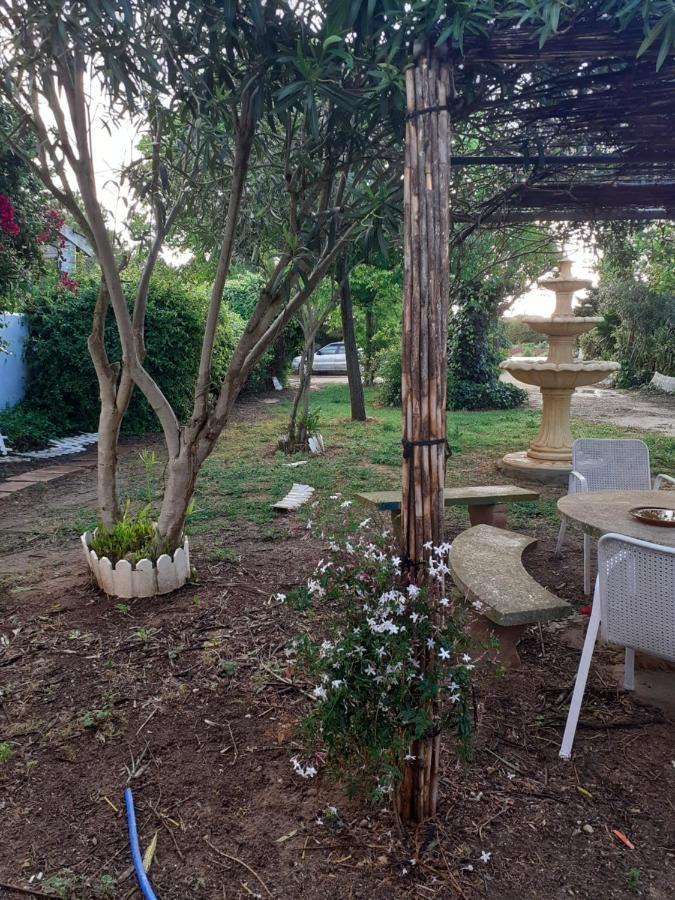Casa Marisa Βίλα Conil De La Frontera Εξωτερικό φωτογραφία